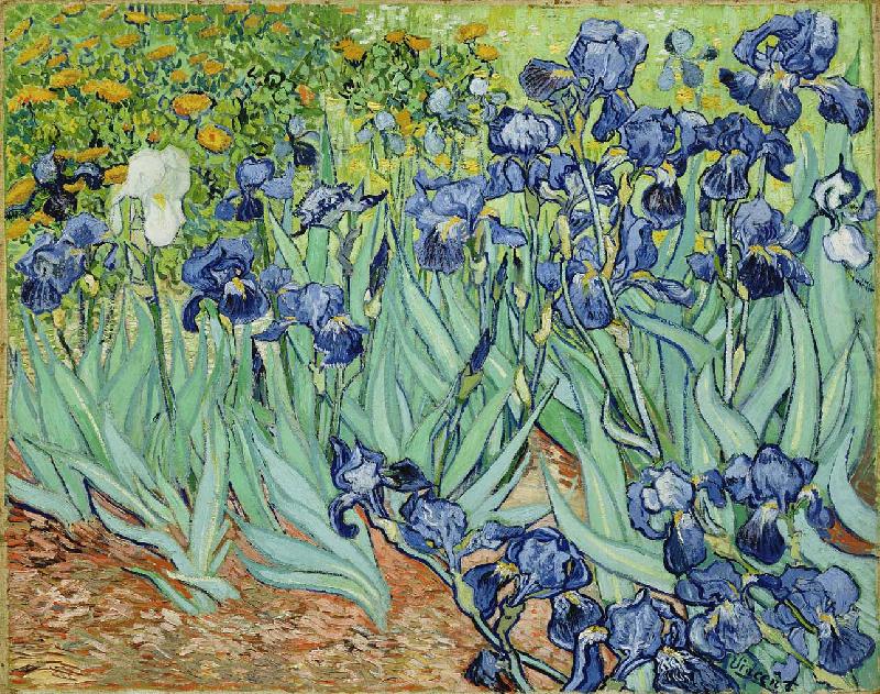 Vincent Van Gogh Irises china oil painting image
